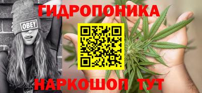 сатива Нальчик