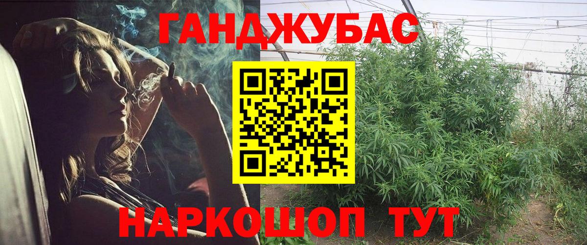 Бошки марихуана план  Каннабис ГИДРОПОН  Топки  Вход с VPN 
